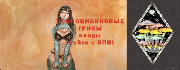 гашик Алексин