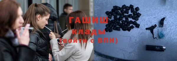 гашик Алексин