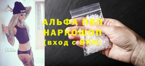 гашик Алексин