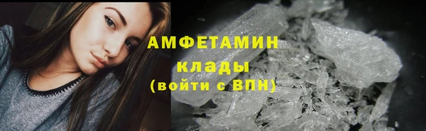 гашик Алексин