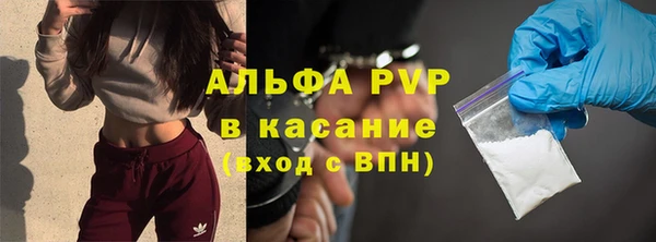 гашик Алексин