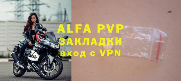 гашик Алексин
