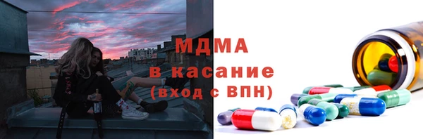 гашик Алексин