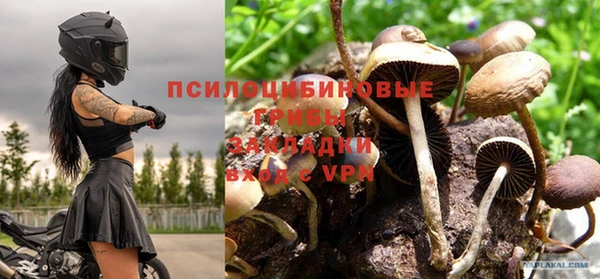 гашик Алексин