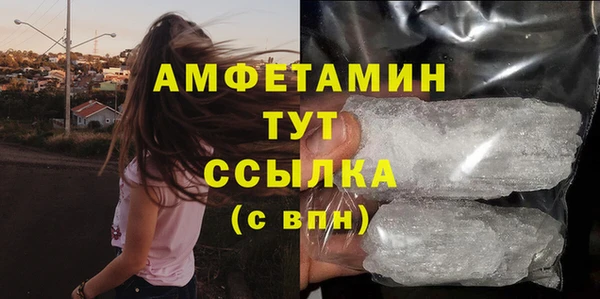 прущий лед Алзамай