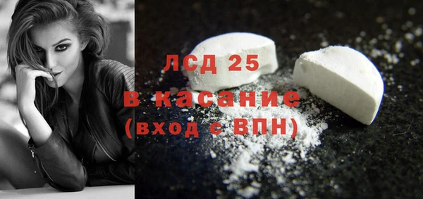 гашик Алексин